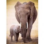 פאזל 1000 חלקים איכותי מבית EUROGRAPHICS  דגם 6000-0270 Elephant & Baby