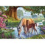 פאזל 1000 חלקים איכותי מבית EUROGRAPHICS  דגם 6000-0976 The Fell Ponies by Steve Crisp