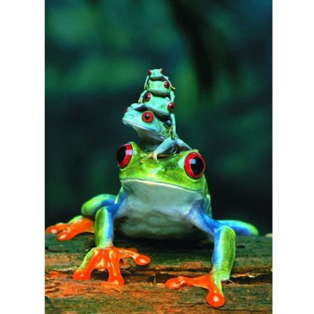 פאזל 1000 חלקים איכותי מבית EUROGRAPHICS דגם 6000-3004 Red-Eyed Tree Frog