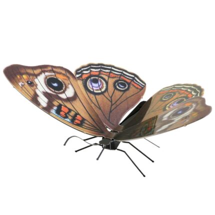 דגם הרכבה פרפר בקאיי BUTTERFLY BUCKEYE אריזת הדגם, חברת Metal Earth