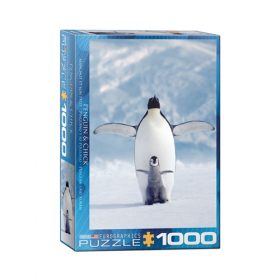 פאזל 1000 חלקים – פינגווין ואפרוח