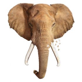 פאזל ייחודי בצורת ראש של פיל
