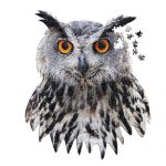 M3013-OWL