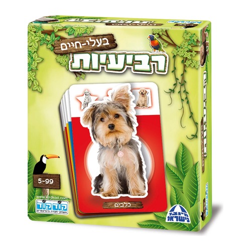 משחק רביעיות בעלי חיים אריזת המשחק, חברת קודקוד
