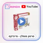 קלאסיק מוצרי עץ – משחק החומה - CLASSIC - סרטון הסבר