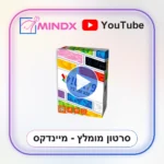 פלאש - סרטון הסבר
