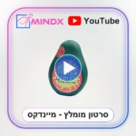אבוקדו בום - סרטון הסבר