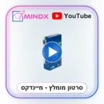 אנומיה כחול - סרטון הסבר
