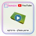 הזיקית - סרטון הסבר