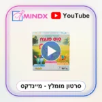 סוס מנצח - סרטון הסבר